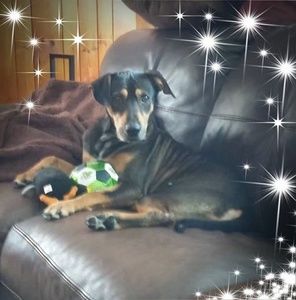 Meet your Posher, Andrea